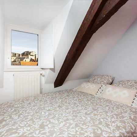 Petite France-Cathedrale, Duplex 100M2- 3 Chambres Strasbourg Ngoại thất bức ảnh